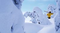 Whether you're an off-piste expert or a novice working your way up to the blues, these are your favorite slopes of the year.