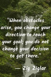 Zig Ziglar: "When obstacles arise, you change your direction to reach your goal; you do not change your decision to get there."