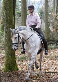 Fotostrecke: Die 20 besten Geländelektionen bei cavallo.de