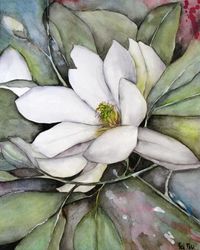 magnolia