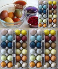 Search Results for “Homemade Naturally Dyed Easter Eggs Project” – The Homestead Survival