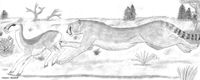Dinaelurus - Pesquisa Google
