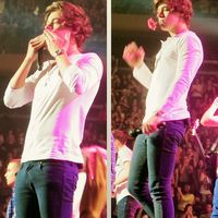 — guydirectioners: Harry at MSG. x