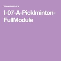 I-07-A-Picklminton-FullModule