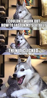 Bad Pun Dog