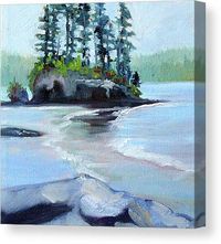 Salt Creek Study Canvas Print by Nancy Merkle