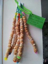 Bird feeders for kids (no peanut butter)
