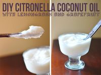 DIY Mosquito Repellent lotion with Coconut Oil, Grapefruit Essential Oil, Lemongrass Essential Oil and Citronella Essential Oil by Amy Renea at A Nest for All Seasons