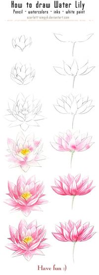 Comment dessiner une fleur: