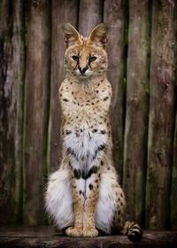Beautiful!