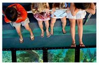 Best attractions in Key West