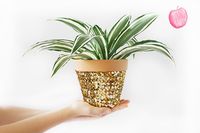 DIY sequin planter | hello lidy