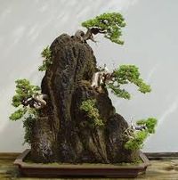 ISHISUKI - 2