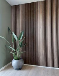 Mur accent chambre des maitres