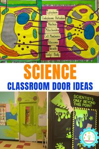 21 Clever Science Classroom Decorating Ideas for Your Classroom Door