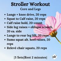It goes without saying, that finding “alone” time to work-out suddenly becomes very difficult, when your little one arrives. But, what if you didn’t have to work-out “alone”? What if your precious little baby could join you and get some fresh air, or a nap, at the same time? ----X----X----X #strollerworkout #toddlermom #stronglikemom #postpregnancytraining #fitmom #momlife #momswhoworkout #fitmomlife #postpartumfitness #postpartumbody #postpartum #postnatalfitness #postnatal #postpartumworkout