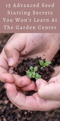 15 Advanced Seed Starting Secrets You Won’t Learn At The Garden Center - Gardening Sun