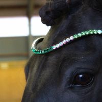 MASEGO Icy Jade Swarovski Browband – Equiluxe