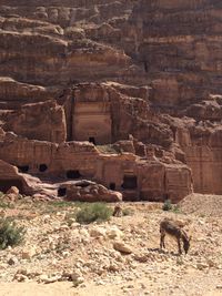 Petra, Jordan by T. Rues