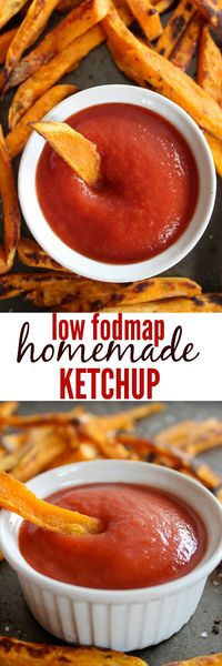 Low Fodmap and Paleo Ketchup