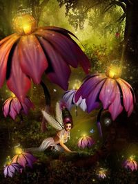 Fairyland