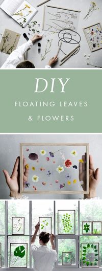 DIY Gift for the Office - DIY Floating Leaves And Flowers - DIY Gift Ideas for Your Boss and Coworkers - Cheap and Quick Presents to Make for Office Parties, Secret Santa Gifts - Cool Mason Jar Ideas, Creative Gift Baskets and Easy Office Christmas Presents http://diyjoy.com/diy-gifts-office