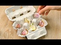 IN FRIGO: Dovrai tenere l'aglio in un sacchetto di carta (che terrà lontana l'eventuale umidità). Non tenerlo mai nel frigorifero: il freddo, che solitamente conserva meglio le verdure e gli ortaggi, non fa bene all'aglio. In questo modo, nel bulbo, gli spicchi d'aglio fresco si conserveranno fino a due mesi. IN FREEZER: diverso è il discorso del freddo del freezer, perché in questo caso il gelo permetterà di conservare più a lungo l'aglio, anche fino a...