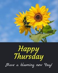 Good Morning guys! If you are landed in this article, no doubt are looking for awesome good morning pinterest images. Click on this pin to downlaod morning images.