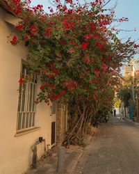 What to do and where to go in Israel, including everything to see in Tel Aviv and Jerusalem!