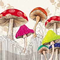 ...one mustn't eat the mushrooms.