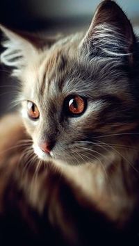 samirafee: “#DEEPEST… cutestoverload.blogspot.com ”