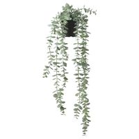 FEJKA Artificial potted plant, indoor/outdoor hanging/eucalyptus, 3 ½" FEJKA artificial potted plants don’t require a green thumb. Perfect when you have better things to do than water plants and pick up dead leaves. You’ll have everyone fooled because they look so lifelike.