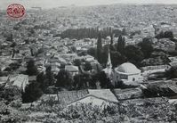 KADİFEKALE