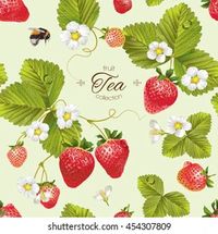 strawberries flowers - Google Search
