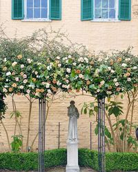 I love New Orleans courtyards ~ this was actually our first time setting up an arch at Beauregard Keyes House in New Orleans and we got to do it on the most perfect spring day. Toffee roses and sand hued florals