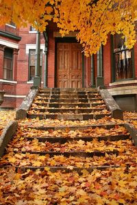 FALL