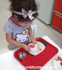 Strawberry Patch - Trillium Montessori
