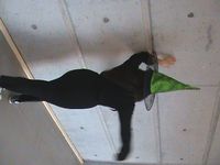 Taken with 2007 Sony handycam