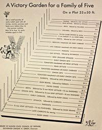 Working on goals for healthier eating? Victory gardens are a part of American history. Know what is in your food, when you are growing your own ingredients! Simple Changes. Powerful Results.