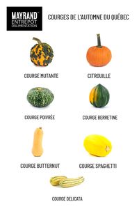 L'automne fait son entrée, faites le plein de courges du Québec pour toutes vos recettes. Les nouvelles récoltes 2020 sont arrivées dans nos magasins d'Anjou et de Brossard ou en ligne.