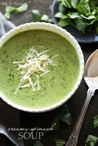 Creamy Spinach Soup... this soup is SO delicious! This is a definite must try soup!