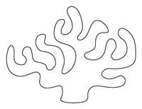 Coral Pattern