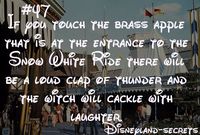 Disneyland secret.