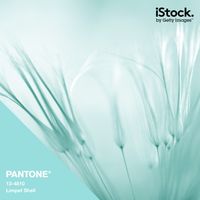 Getty Images - Each season PANTONE® creates a Fashion Color Report outlining the key color trends. Here, the top 10 colors for Spring 2016 come to life in iStock photographs – from Limpet Shell, a clear and fresh aqua evoking a mindful tranquility to Fiesta, a vivid and fiery red encouraging free-spirited exploration.