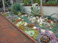 Succulent garden/Source: worldofsucculents.com