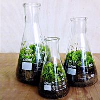 Science Beaker Terrarium Set - ApolloBox