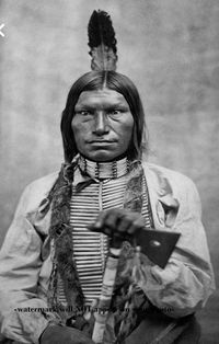 Battle Of Little Big Horn Survivor
