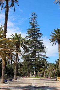 Melilla, la joya olvidada del Mediterráneo. | Viaja con Carla