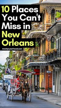 New Orleans is an incredibly unique city. Click through to see the top 10 things to do in New Orleans! Read the full article on AvenlyLaneTravel.com