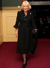 The British royal family attended the Festival of Remembrance 2022